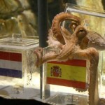 World Cup 2010: The Psychic Octopus