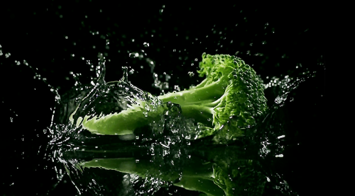 big-bang-broccoli