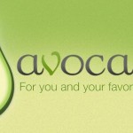Mobile Social Network Avocado: A Start-up To Follow? 