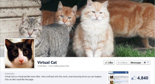 Facebook Fraud - My Virtual Cat